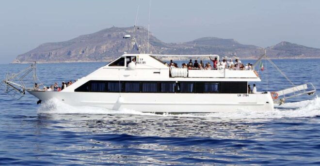 From Trapani: Favignana and Levanzo Boat Trip With Stops - Experience