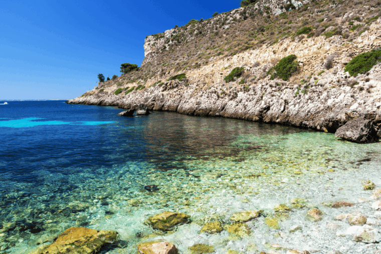 From Trapani: Favignana and Levanzo Island Day Cruise - Customer Reviews and Feedback