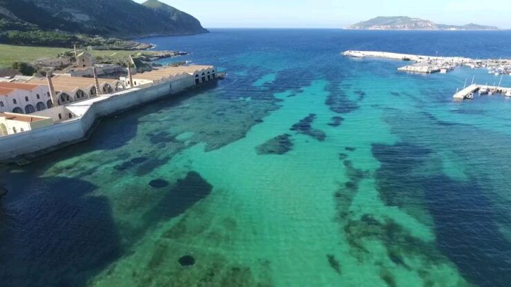 From Trapani: Favignana and Levanzo Sightseeing Cruise - Highlights