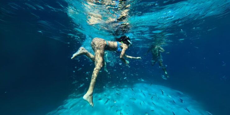 From Trapani: Favignana & Levanzo Islands Private Boat Trip - Trip Details