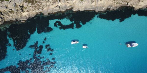 From Trapani: Favignana & Levanzo Islands Private Boat Trip - Tuna Museum and Local Cuisine