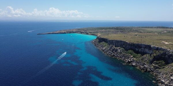 From Trapani: Favignana & Levanzo Islands Private Boat Trip - Frequently Asked Questions