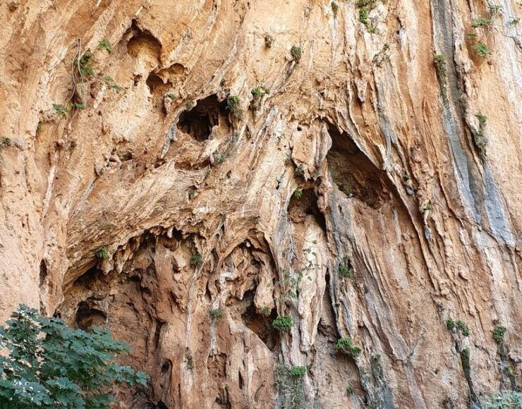From Trapani: Zingaro Natural Reserve Hiking and Snokreling - Tour Details