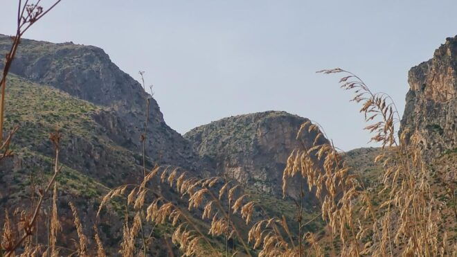 From Trapani: Zingaro Natural Reserve Hiking and Snokreling - Highlights