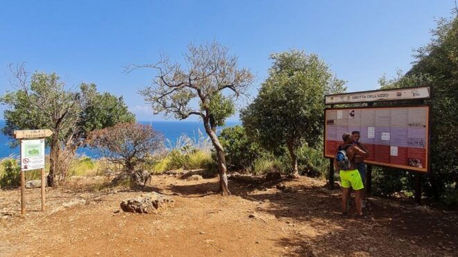 From Trapani: Zingaro Natural Reserve Hiking and Snokreling - Customer Reviews