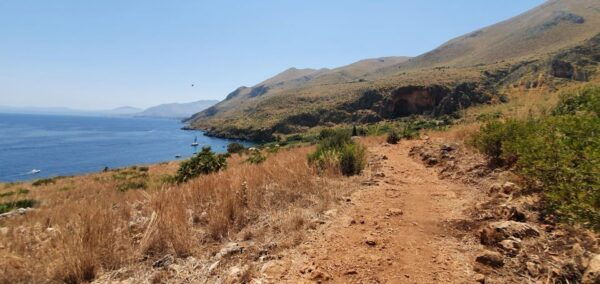 From Trapani: Zingaro Natural Reserve Hiking and Snokreling - The Sum Up