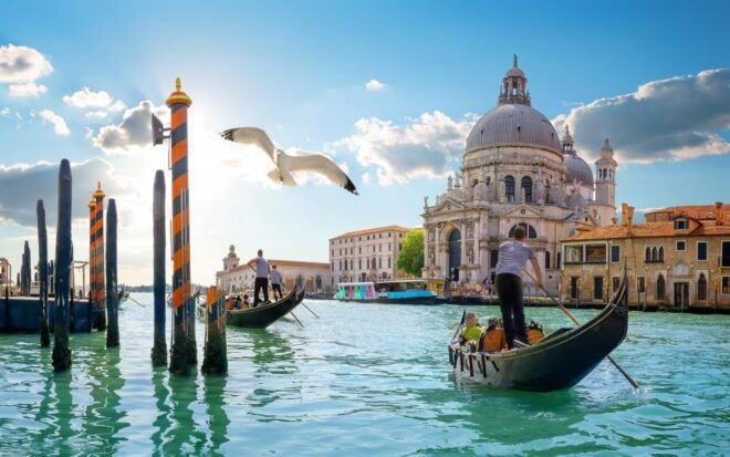 From Trieste: Best Venice Shore Excursion - Highlights to Experience