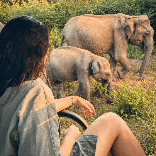 From Trincomalee : Minneriya / Kaudulla Elephant Safari - Overview of the Safari