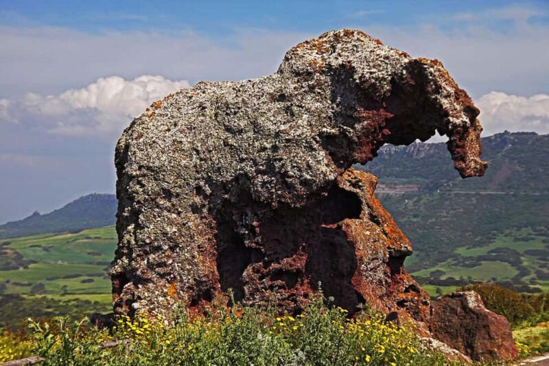 From Trivandrum: Kanyakumari and Poovar Private Day Tour - Final Thoughts on Value and Suitability