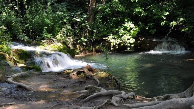 From Trogir, Seget & Okrug: Krka Waterfalls & Šibenik - Experience and Activities