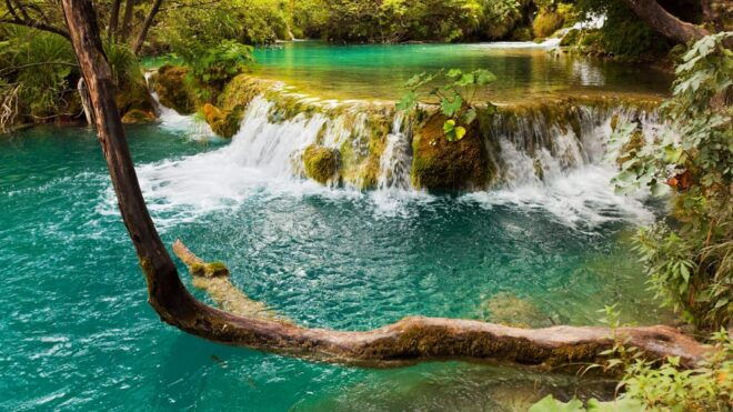 From Trogir, Seget & Okrug: Krka Waterfalls & Šibenik - Inclusions and Exclusions