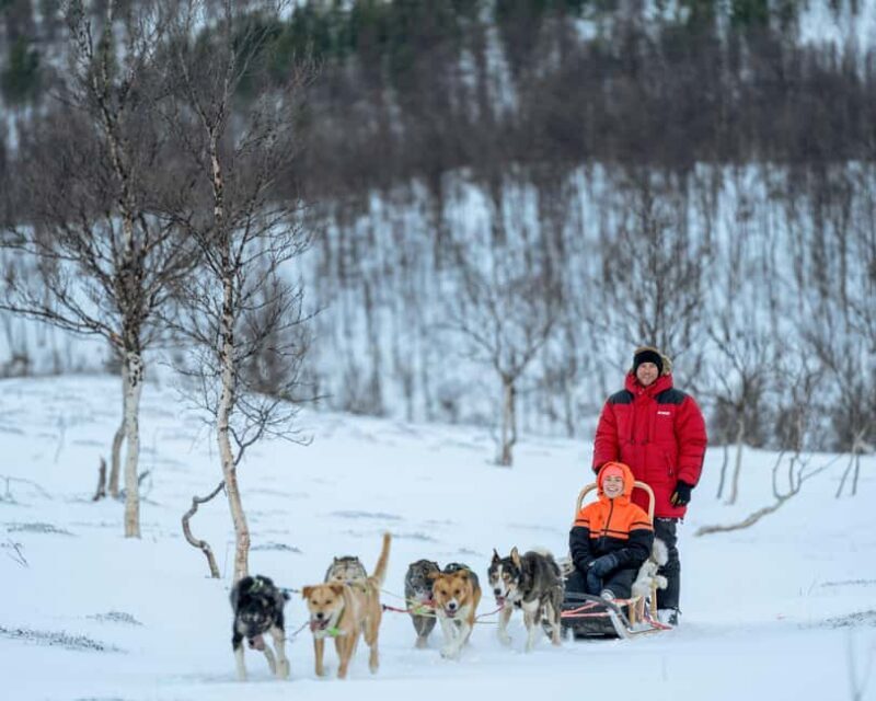 From Tromsø: Advanced Dog Sledding Daytime & Snow Park Visit - Good To Know
