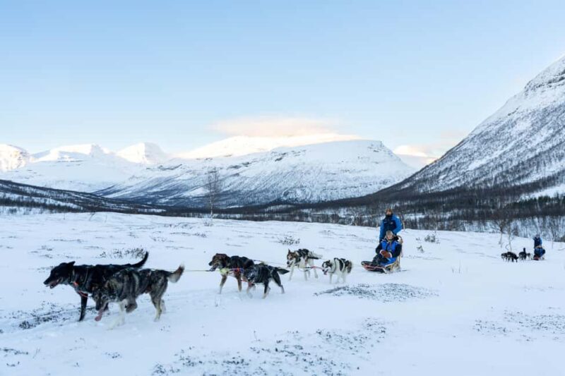 From Tromsø: Advanced Dog Sledding Daytime & Snow Park Visit - An In-Depth Look at the Tour Experience