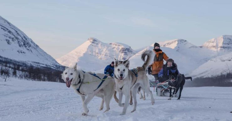 From Tromsø: Advanced Dog Sledding Tour at Camp Tamok - Itinerary and Activities