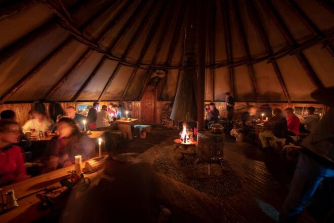 From Tromsø: Advanced Dog Sledding Tour at Camp Tamok - Participant Requirements