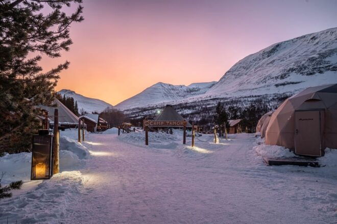 From Tromsø: Advanced Dog Sledding Tour at Camp Tamok - Meeting Point and Essentials