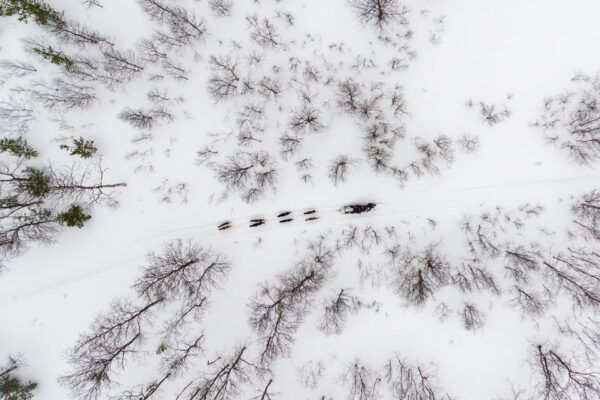 From Tromsø: Advanced Dog Sledding Tour at Camp Tamok - Scenic Arctic Landscapes