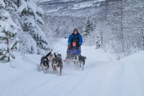 From Tromsø: Advanced Dog Sledding Tour at Camp Tamok - Hands-on Dog Sledding Experience