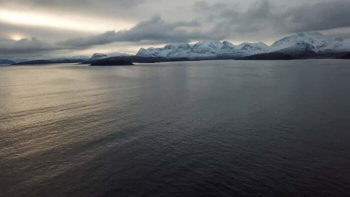 From Tromsø: All-Inclusive Whale & Orca Safari - Final Thoughts