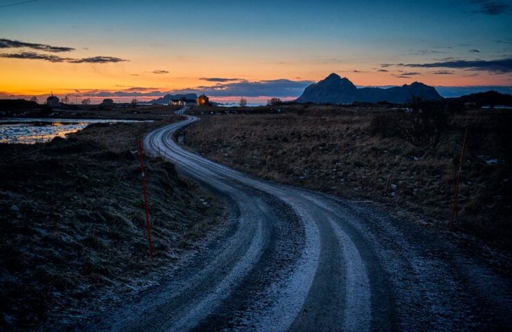 From Tromsø: Arctic Wildlife & Fjord Sightseeing Tour by Car - Experience Highlights
