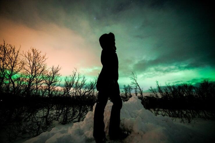 From Tromsø: Aurora Borealis Tour - Booking Information