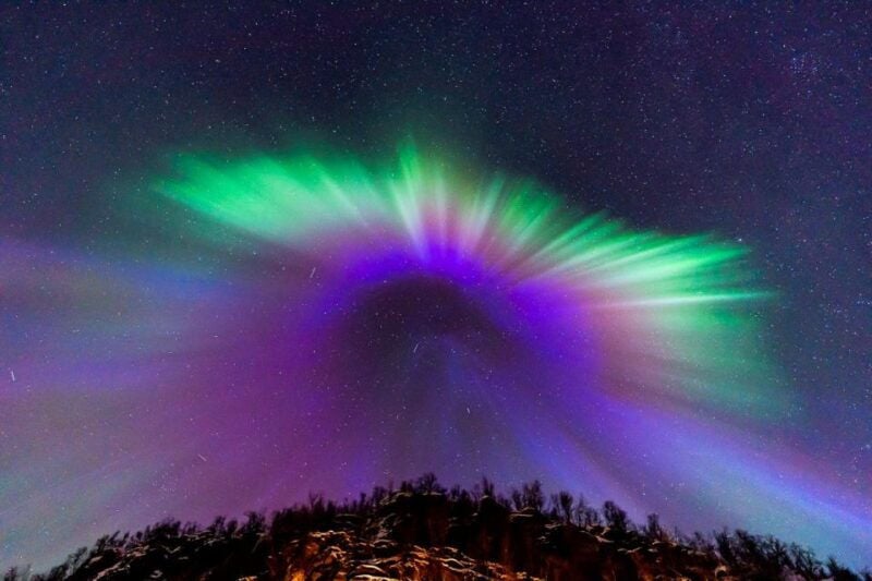 From Tromsø: Aurora Minibus Chase with Portrait and Hot Meal - The Search for the Aurora