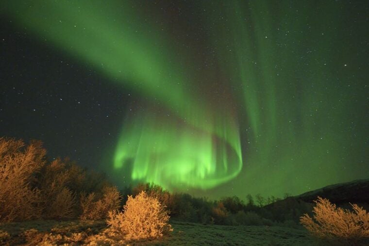 From Tromsø: Aurora Minibus Chase with Portrait and Hot Meal - Campfire, Food, and Comfort