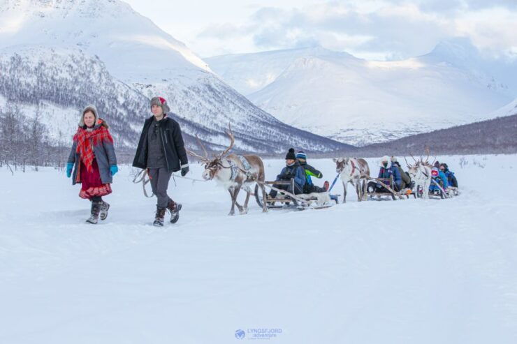 From Tromsø: Daytime Reindeer Sledding at Camp Tamok - Booking Details