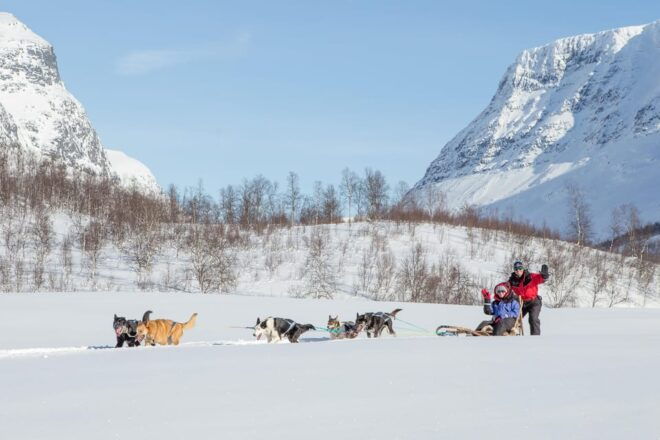 From Tromsø: Dog Sledding Adventure in Tamokdalen - Dog Sledding Experience