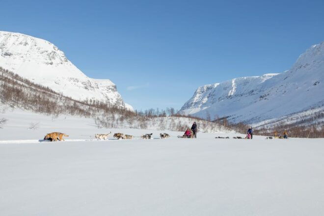 From Tromsø: Dog Sledding Adventure in Tamokdalen - Meals and Refreshments