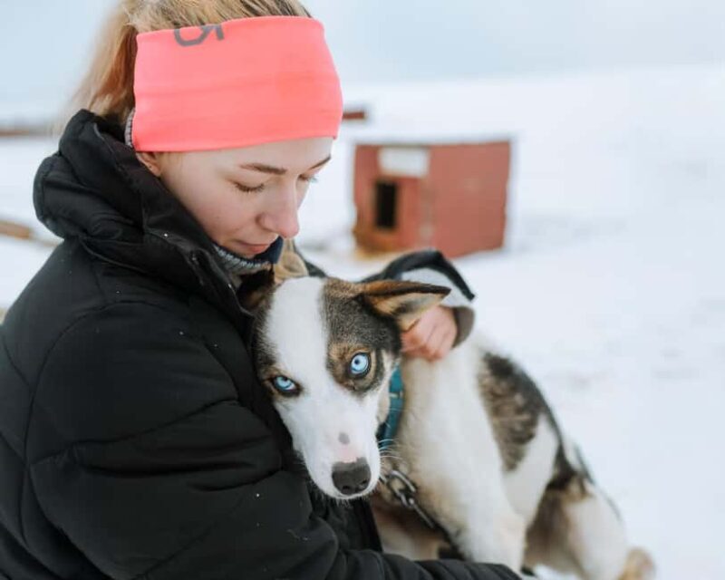 From Tromsø: Dog Sledding Experience with Transfer - Good To Know