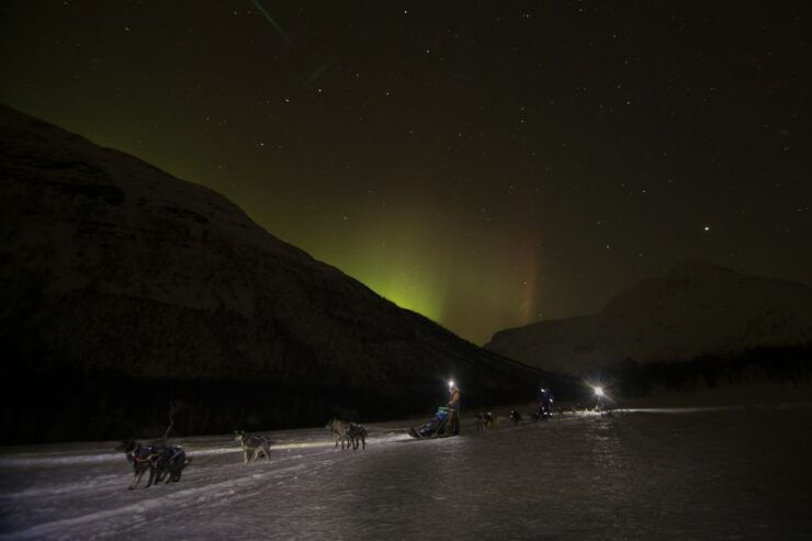 From Tromsø: Evening Dog Sledding at Camp Tamok - Activity Details
