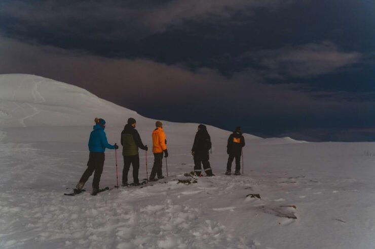 From Tromsø: Evening Snowshoe Hike at Fjellheisen With Snack - Booking Details