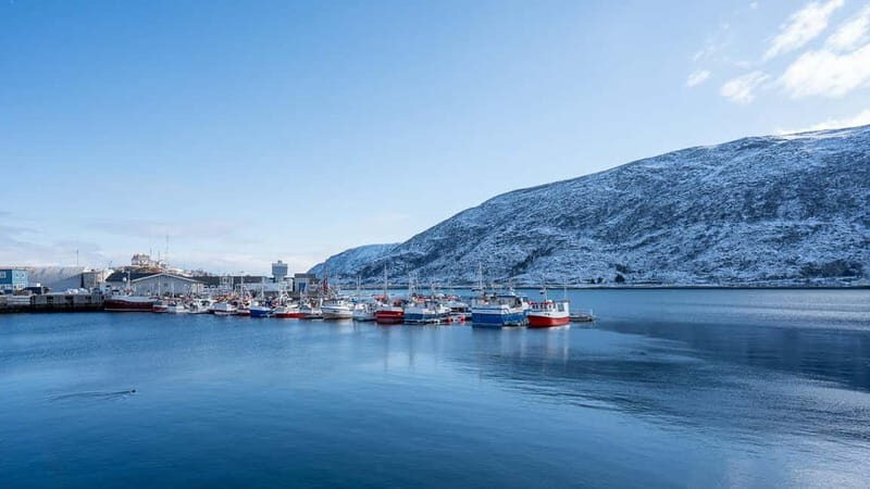From Tromsø: Experience Vannøya Island Wild, Remote & Real - Good To Know