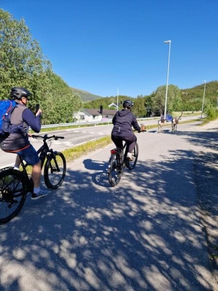 From Tromsø: Fjord Sightseeing With E-Bike - Lunch at Bryggejentene