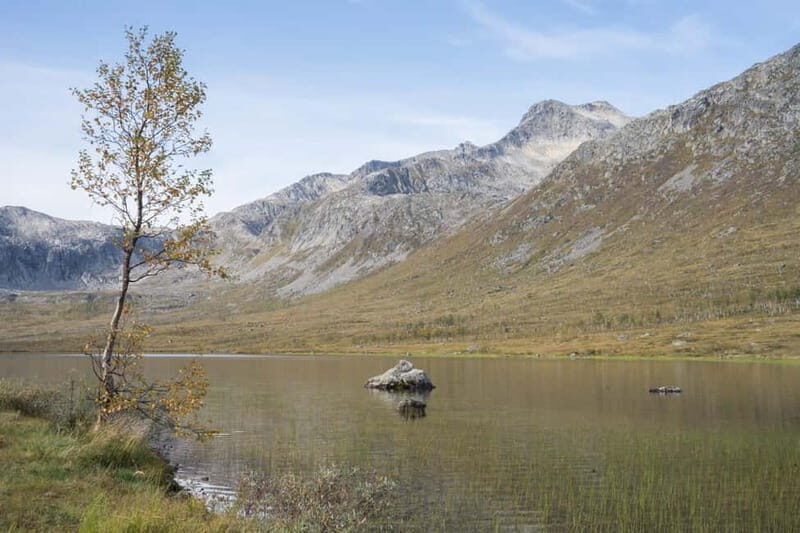 From Tromsø: Fjord Tour and Visit to Sommarøy in French - FAQ