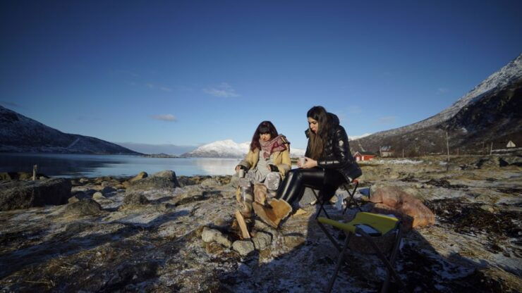 From Tromsø: Fjords Small Group Bus Tour - Experience Highlights