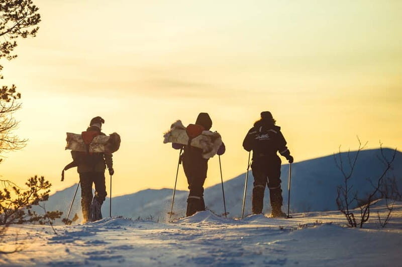 From Tromsø: Guided Husky Snowshoe Hike and Husky Camp Visit - Who Should Consider This Tour?
