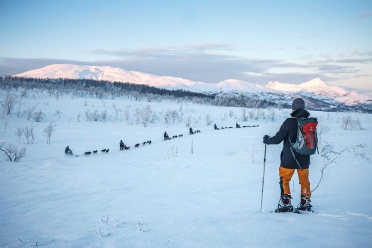 From Tromsø: Guided Husky Snowshoe Hike and Husky Camp Visit - Booking Details