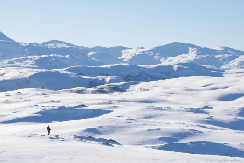From Tromsø: Guided Snowshoe Hike Experience - An In-Depth Look at the Snowshoe Experience