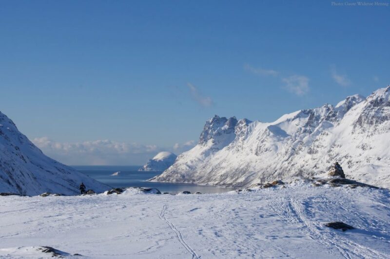 From Tromsø: Guided Snowshoe Hike Experience - Pricing and Value