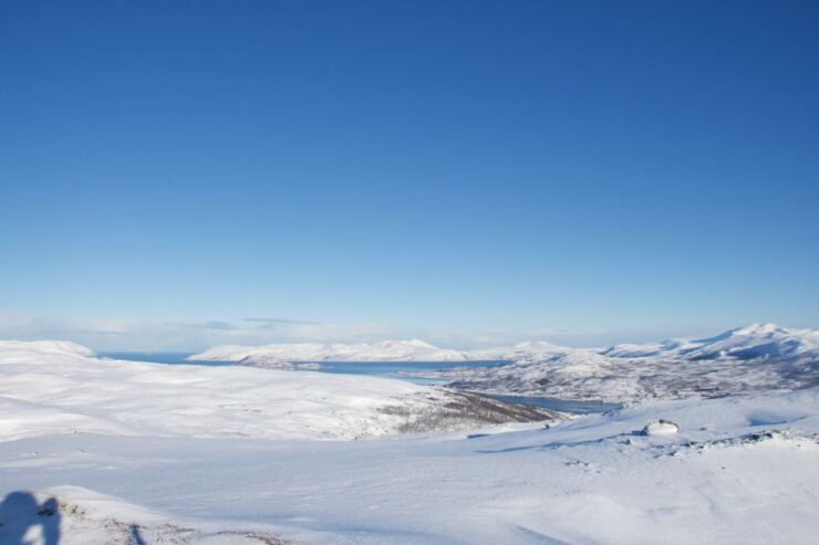 From Tromsø: Guided Snowshoe Hike With Cafe Visit - Experience Highlights