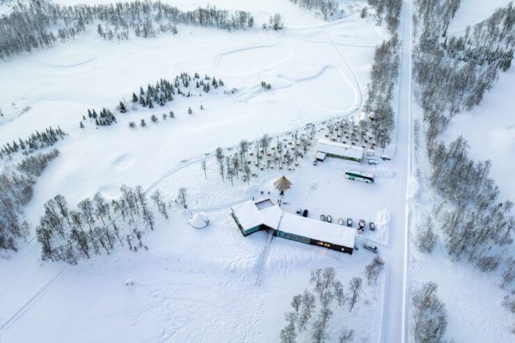 From Tromsø: Husky Visit With Dog Sledding in Breivikeidet - Activity Overview