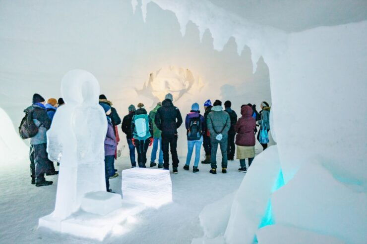 From Tromsø: Ice Domes Guided Tour and Reindeer Visit - Tour Duration and Cancellation Policy