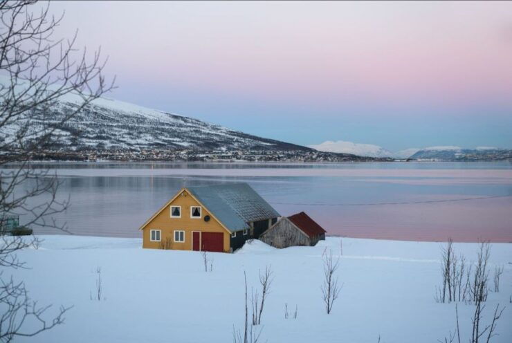 From Tromsø: Kvaløya and Sommarøy Scenic Fjord Day Trip - Experience Highlights