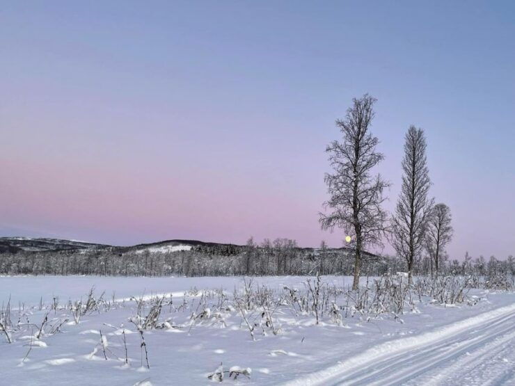 From Tromsø: Lyngen Alps Afternoon Snowmobile Tour - Tour Duration and Cancellation Policy