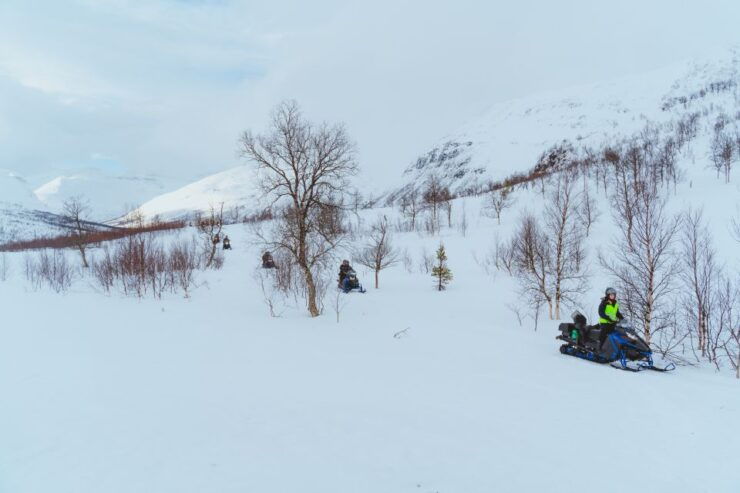 From Tromsø: Midday Snowmobiling at Camp Tamok - Booking Information