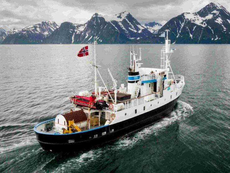From Tromsø: Northern Lights Cruise on a Cozy Vintage Vessel - Experience Highlights