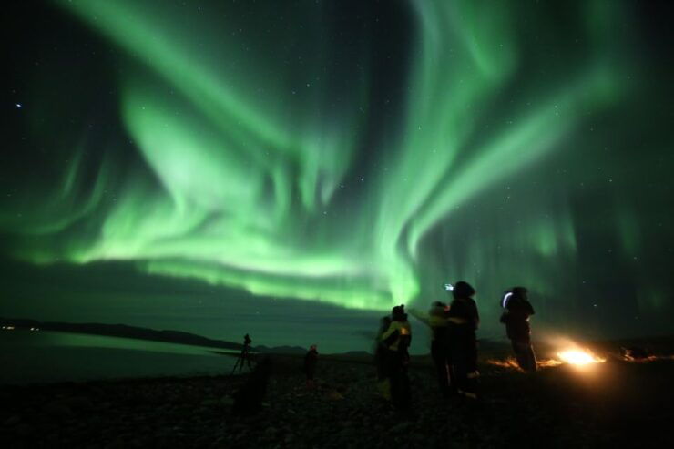 From Tromso: Northern Lights Photography Tour - Tour Duration and Language Options