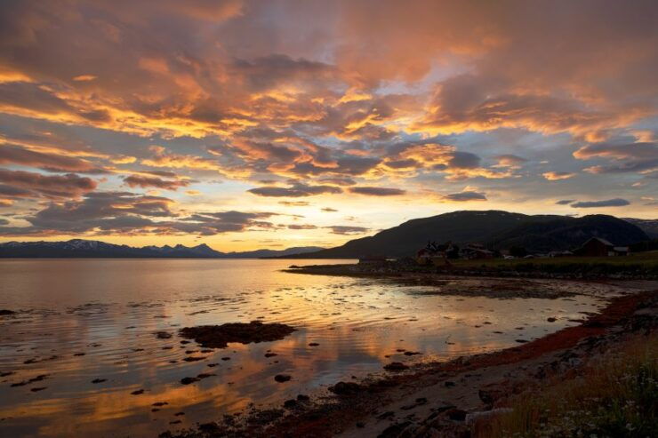 From Tromso: Norwegian Fjords Half-Day Tour - Experience Highlights